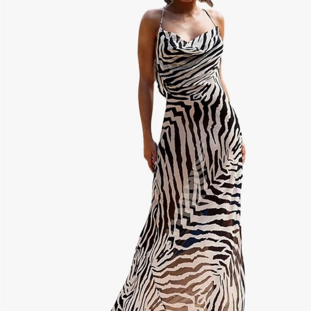Sheer 🦓 zebra print dress. Size Large. New- never worn.